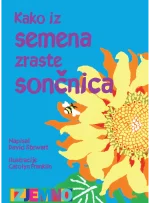 KAKO IZ SEMENA ZRASTE SONČNICA