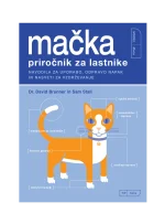 MAČKA