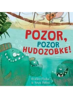POZOR, POZOR HUDOZOBKE