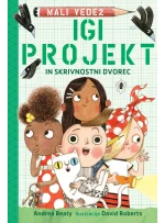 IGI PROJEKT IN SKRIVNOSTNI DVOREC